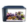 Fluval sea evo hotsell 52l aquarium kit