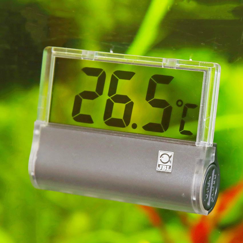 https://www.abyssaquatics.co.uk/wp-content/uploads/2020/10/JBL-Aquarium-Thermometer-DigiScan-external-aquarium-thermometer-on-tank.jpg