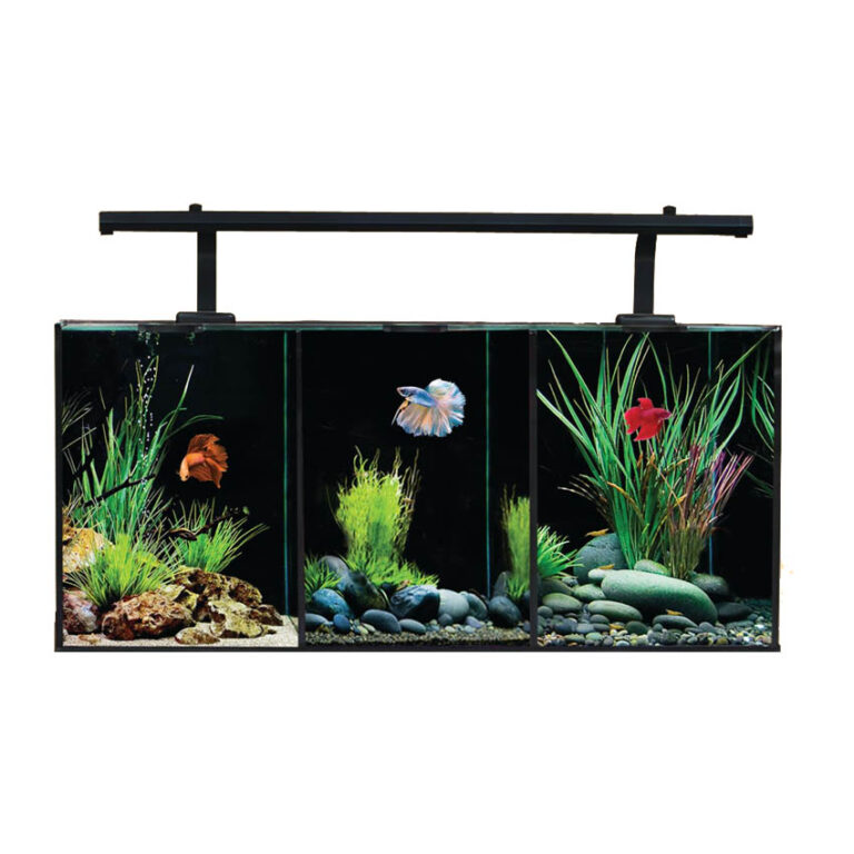 Shop Online for Aquariums · Abyss Aquatics UK